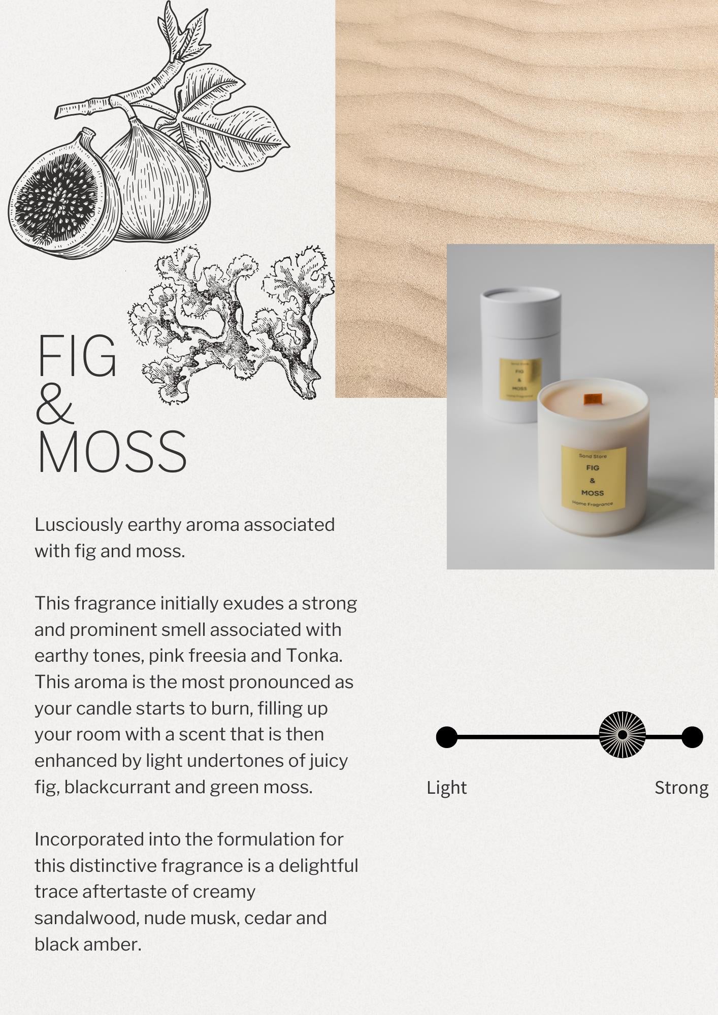 Fig & Moss Candle
