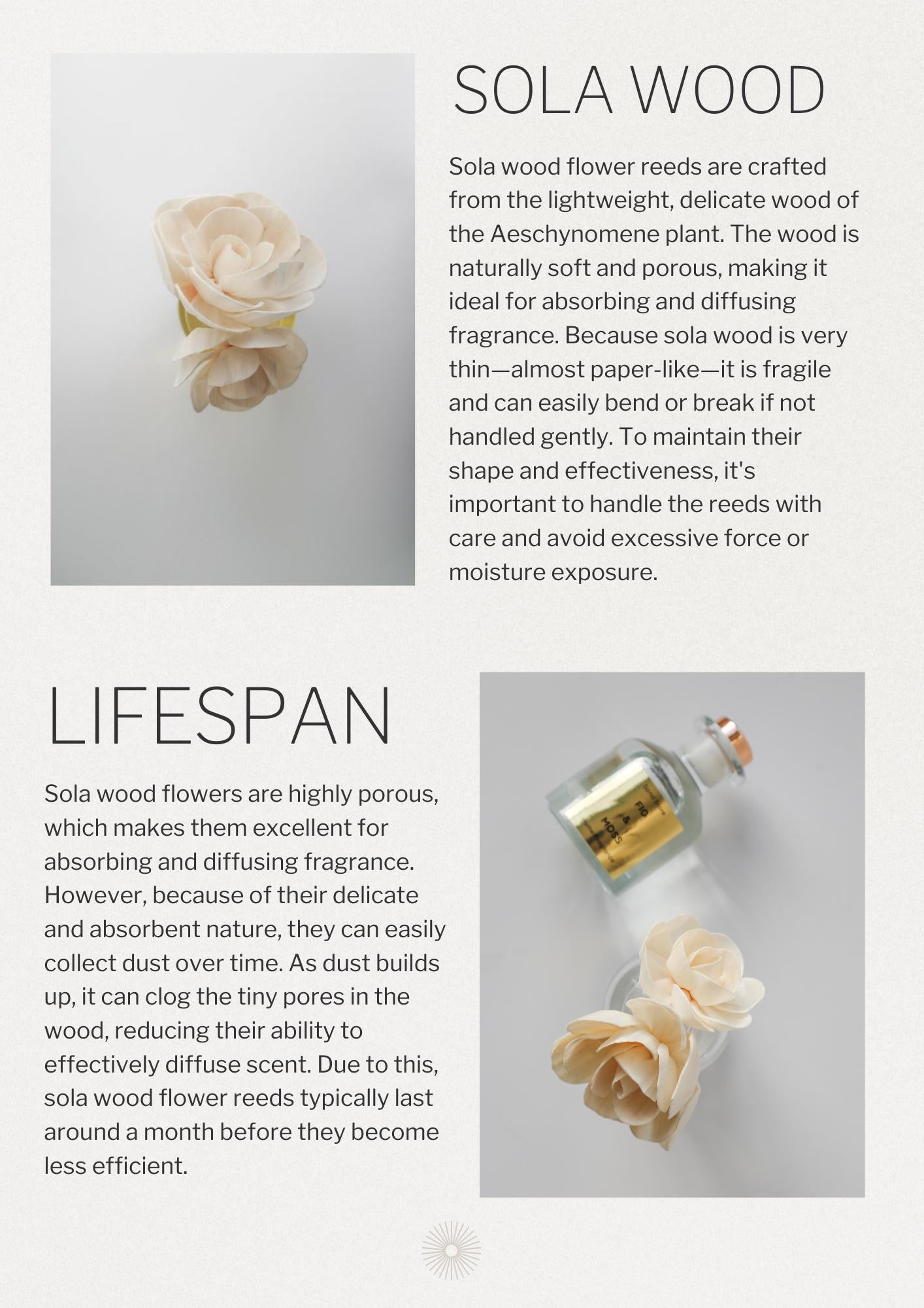 Fig & Moss Flower Reed Diffuser