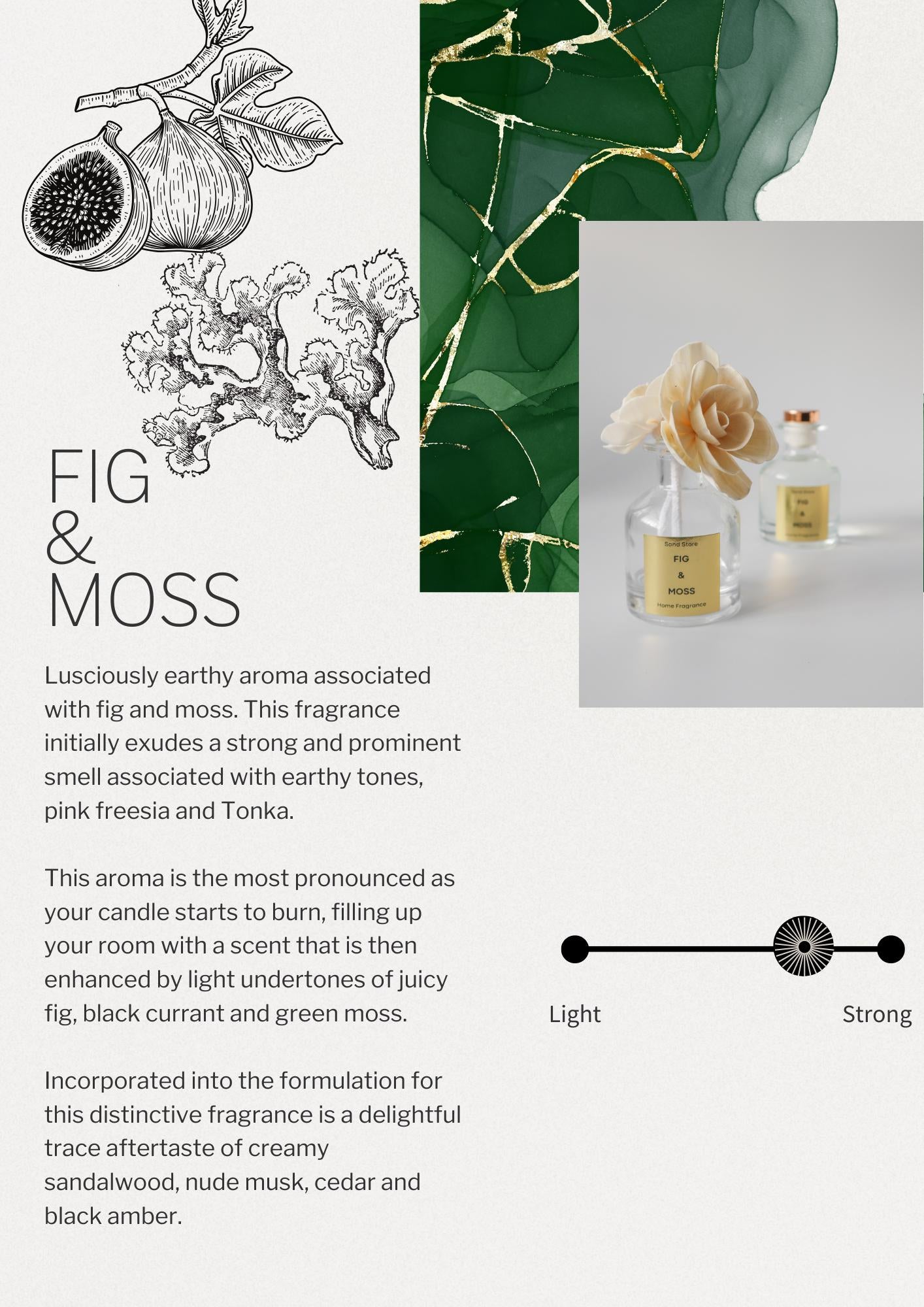 Fig & Moss Flower Reed Diffuser