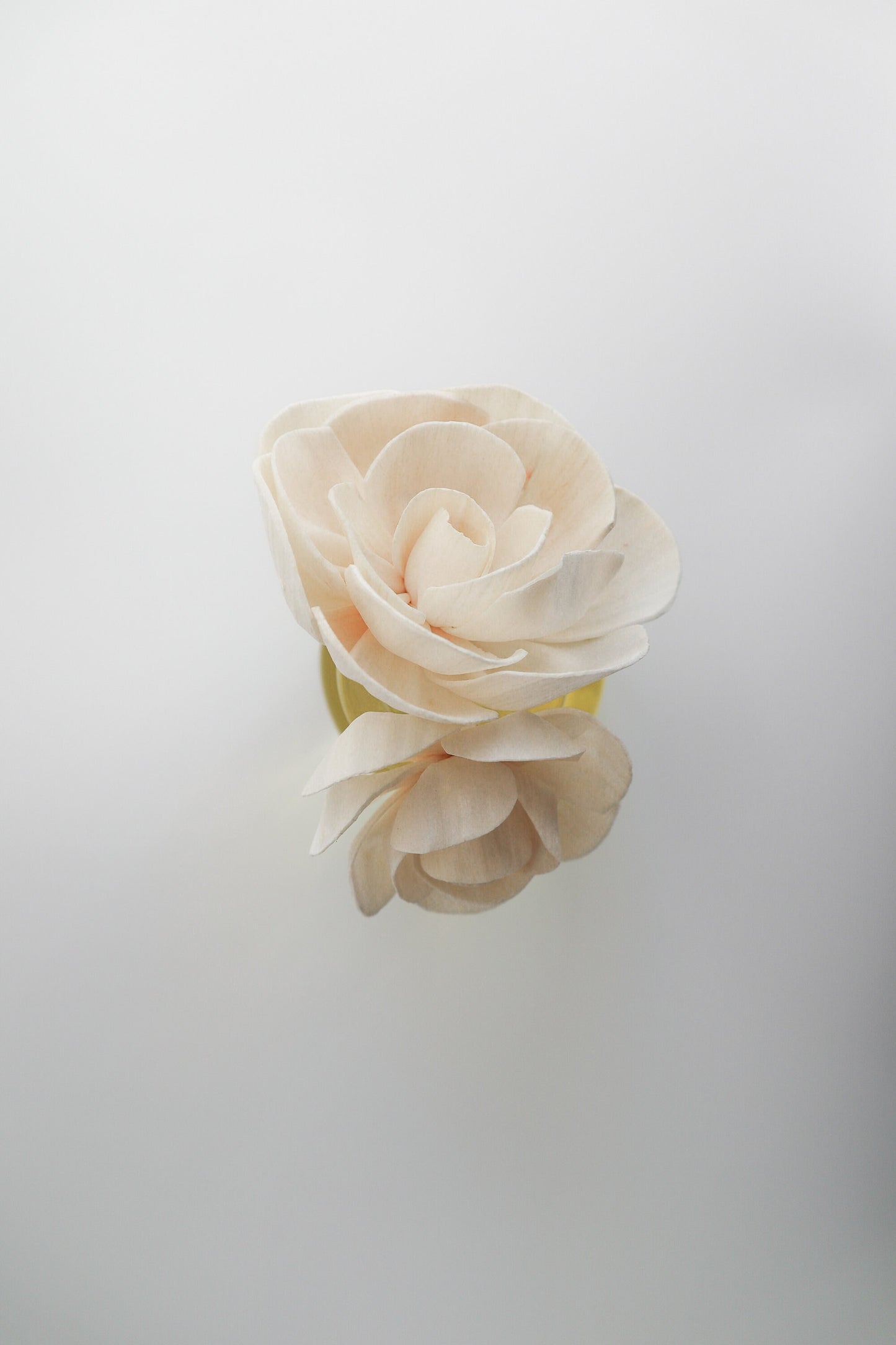 Plum & Rhubarb Flower Reed Diffuser