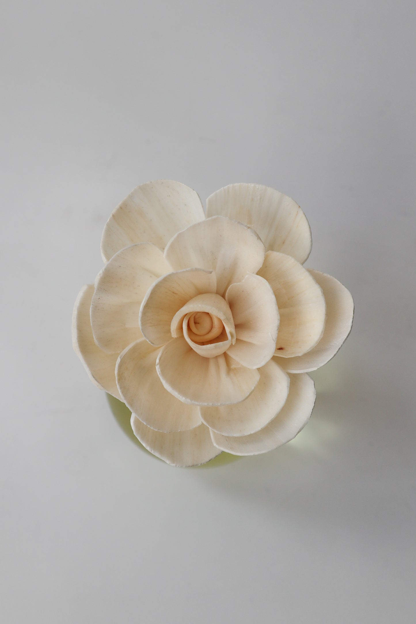Flower Reed Diffuser